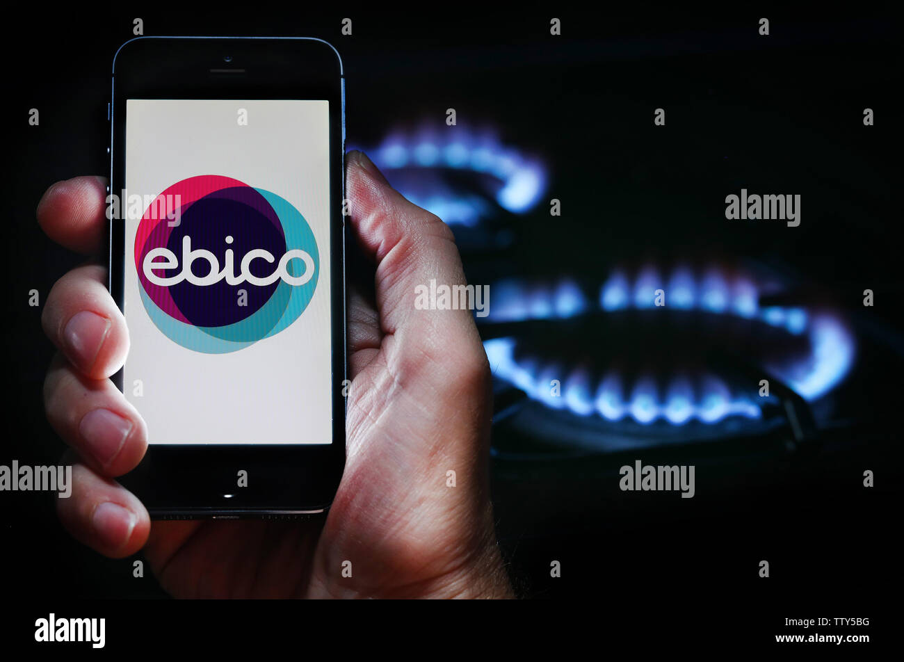 Ein Mann auf der Website Logo auf der Suche nach Energie Firma Ebico auf seinem Mobiltelefon vor seinem Gaskocher (Editorial nur verwenden) Stockfoto