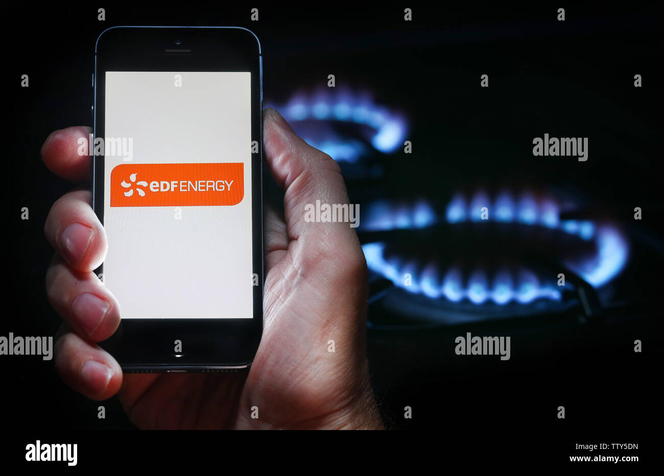 Ein Mann auf der Website Logo auf der Suche nach Energie Unternehmen EDF Energy auf seinem Mobiltelefon vor seinem Gaskocher (Editorial nur verwenden) Stockfoto