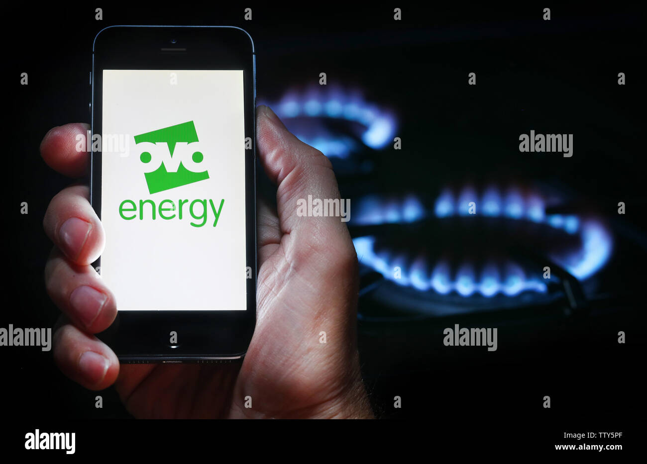 Ein Mann auf der Website Logo auf der Suche nach Energie Firma OVO Energie auf seinem Mobiltelefon vor seinem Gaskocher (Editorial nur verwenden) Stockfoto