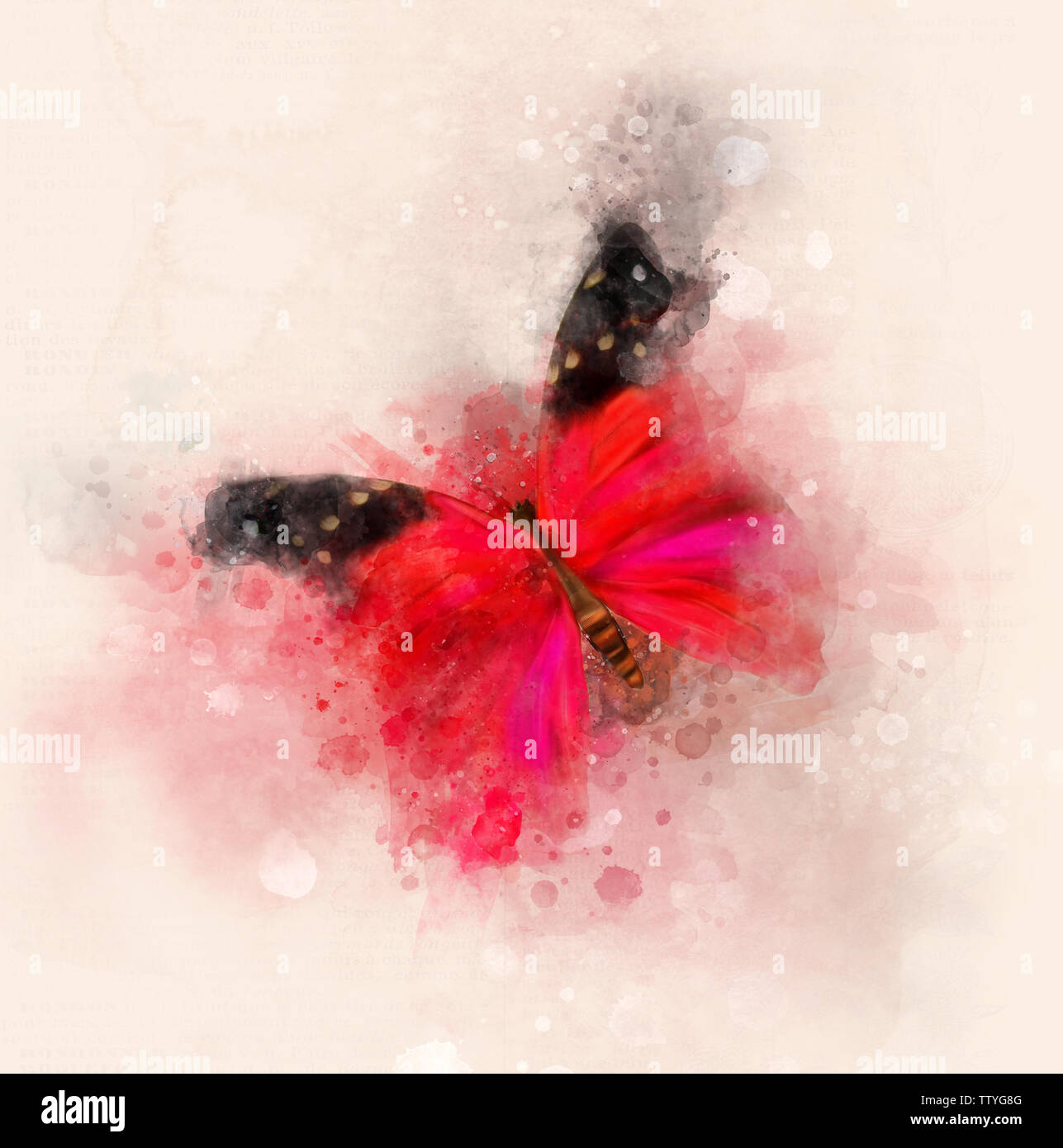 Fantasy hand gezeichnete Schmetterling auf einem vintage Hintergrund Stockfoto