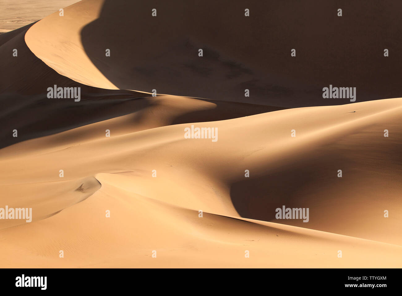 Namibia, die Wüste Namib, Dune 7. Stockfoto