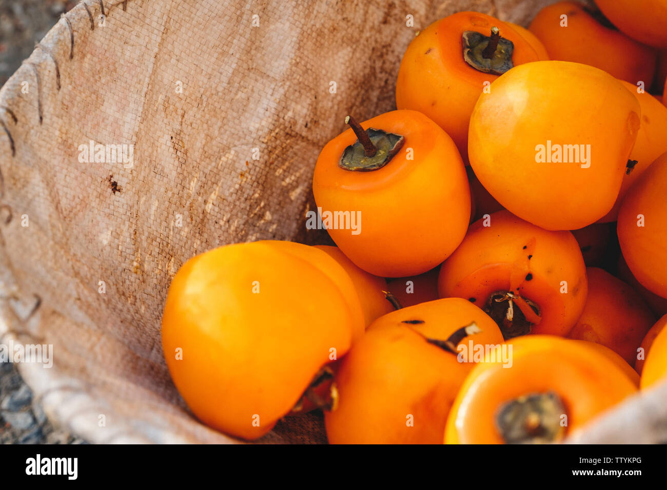 Persimone Furche Stockfoto
