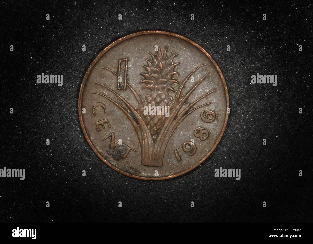 Swasiland 1 Cent, 1986 Stockfoto