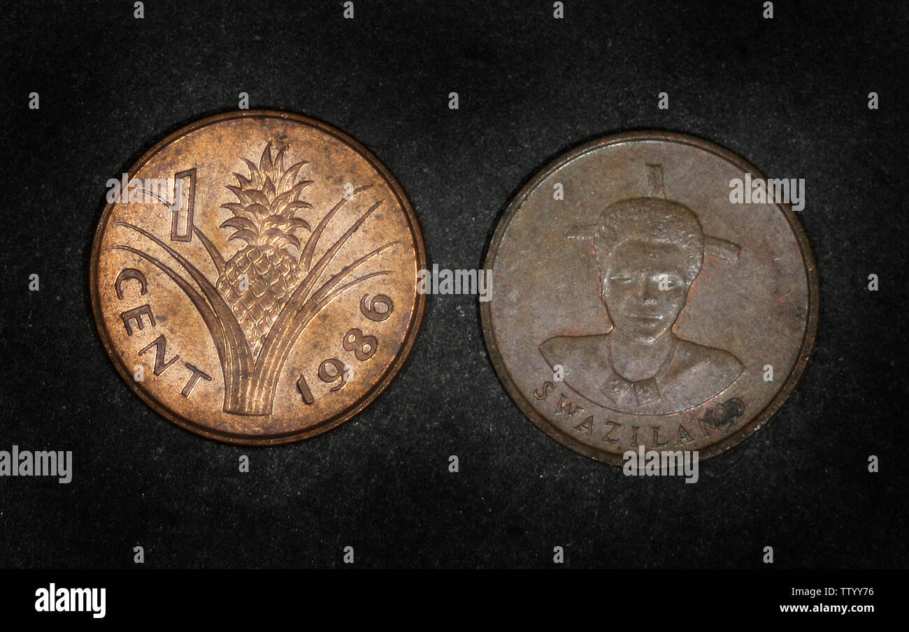 Swasiland 1 Cent, 1986 Stockfoto
