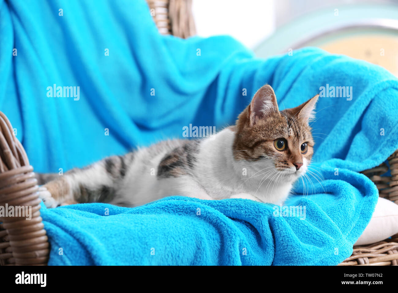 Sessel Bedeckt Stockfotos Und Bilder Kaufen Alamy
