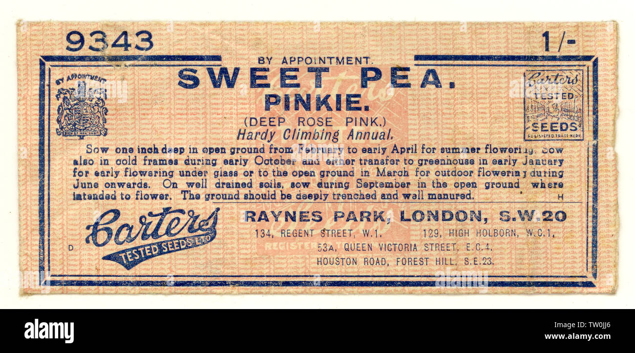 Anfang 1900 Samen Paket Sweet Pea Pinkie, Carters Samen, Raynes Park, London, Großbritannien Stockfoto