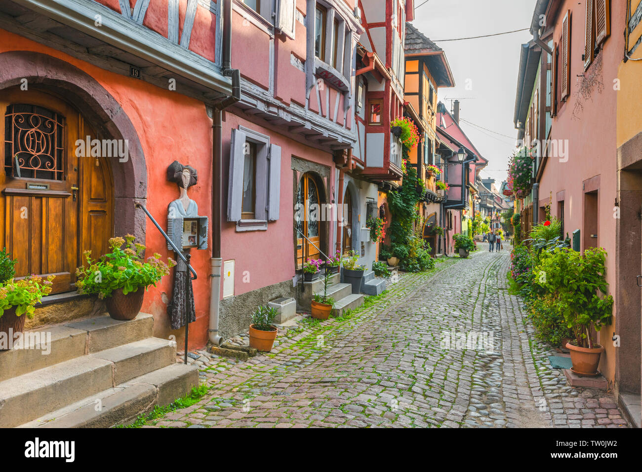 Blühende Gasse im Dorf Eguisheim, Elsass, Frankreich, bunte ursprüngliche Fachwerkhäuser mit Erkern Stockfoto