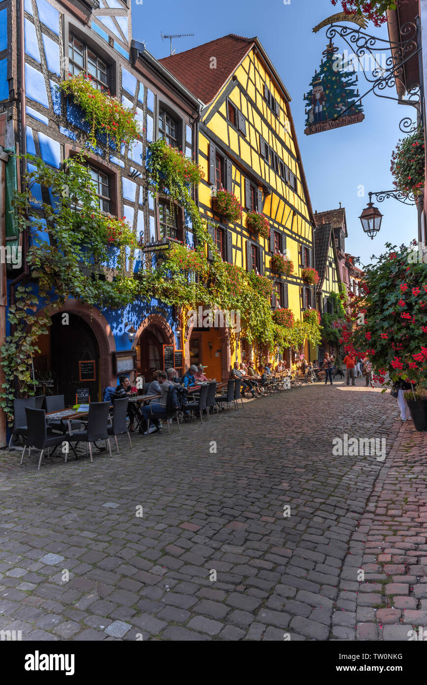 Malerische Fachwerkhäuser überwachsen mit Weinstock, Riquewihr, Elsass, Frankreich, historischen alten Dorfes und touristisch Site Stockfoto