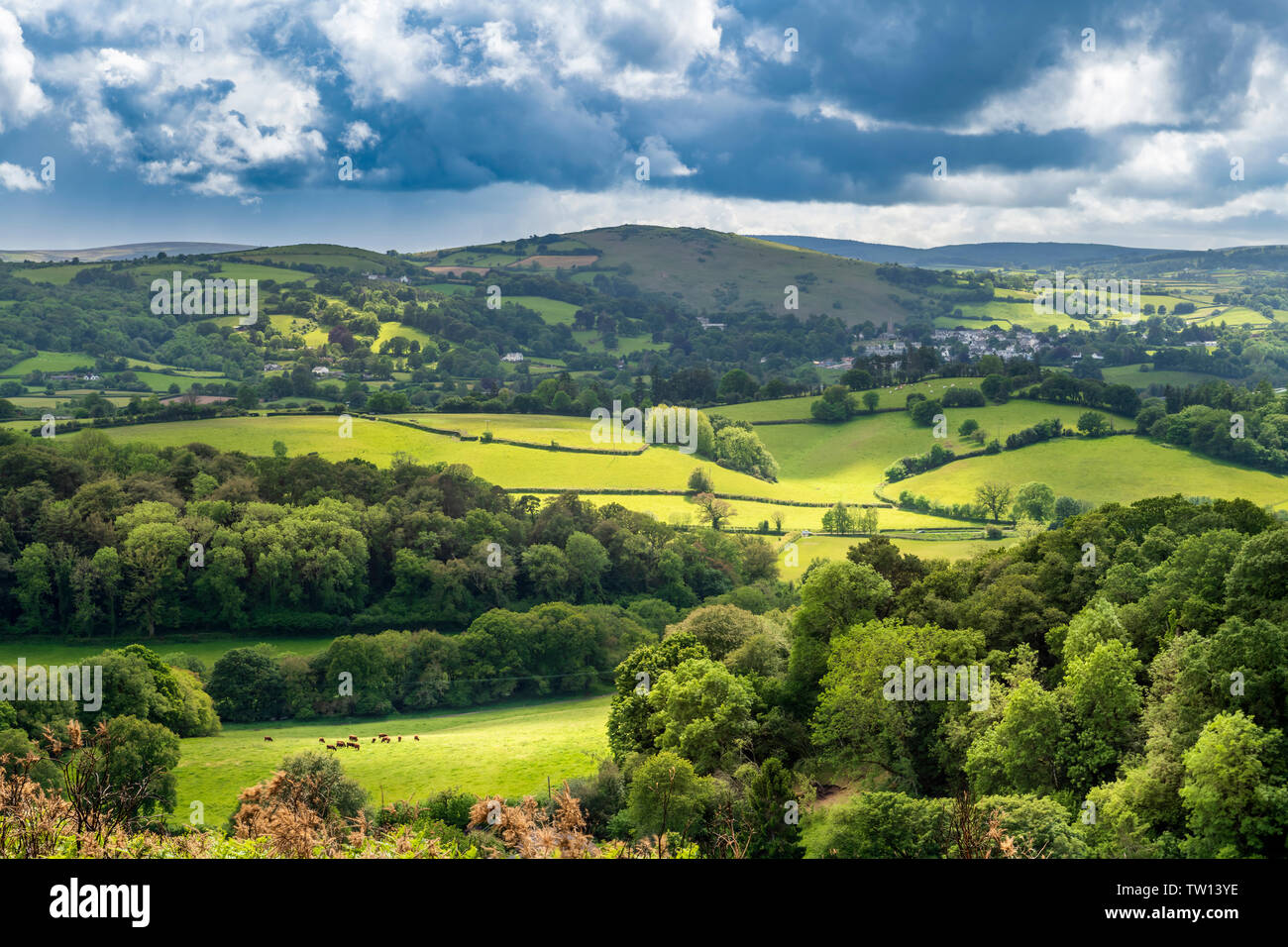 An einem windigen Tag im Juni, das Licht kriecht über die hügelige Landschaft von Devon. Stockfoto