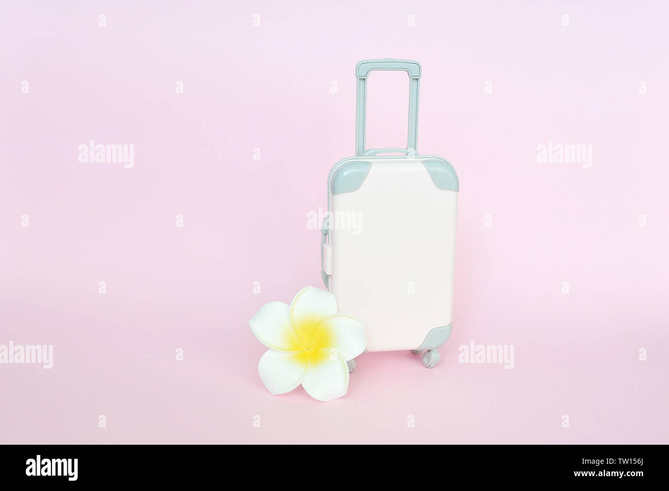 Stilvolle Koffer und weiße Blume auf rosa Hintergrund, Ansicht von oben mit Platz für Text. Konzept für Reisen Stockfoto Stilvolle Koffer und weiße Blume auf rosa Hintergrund, Ansicht von oben mit Platz für Text. Konzept für Reisen Stockfoto