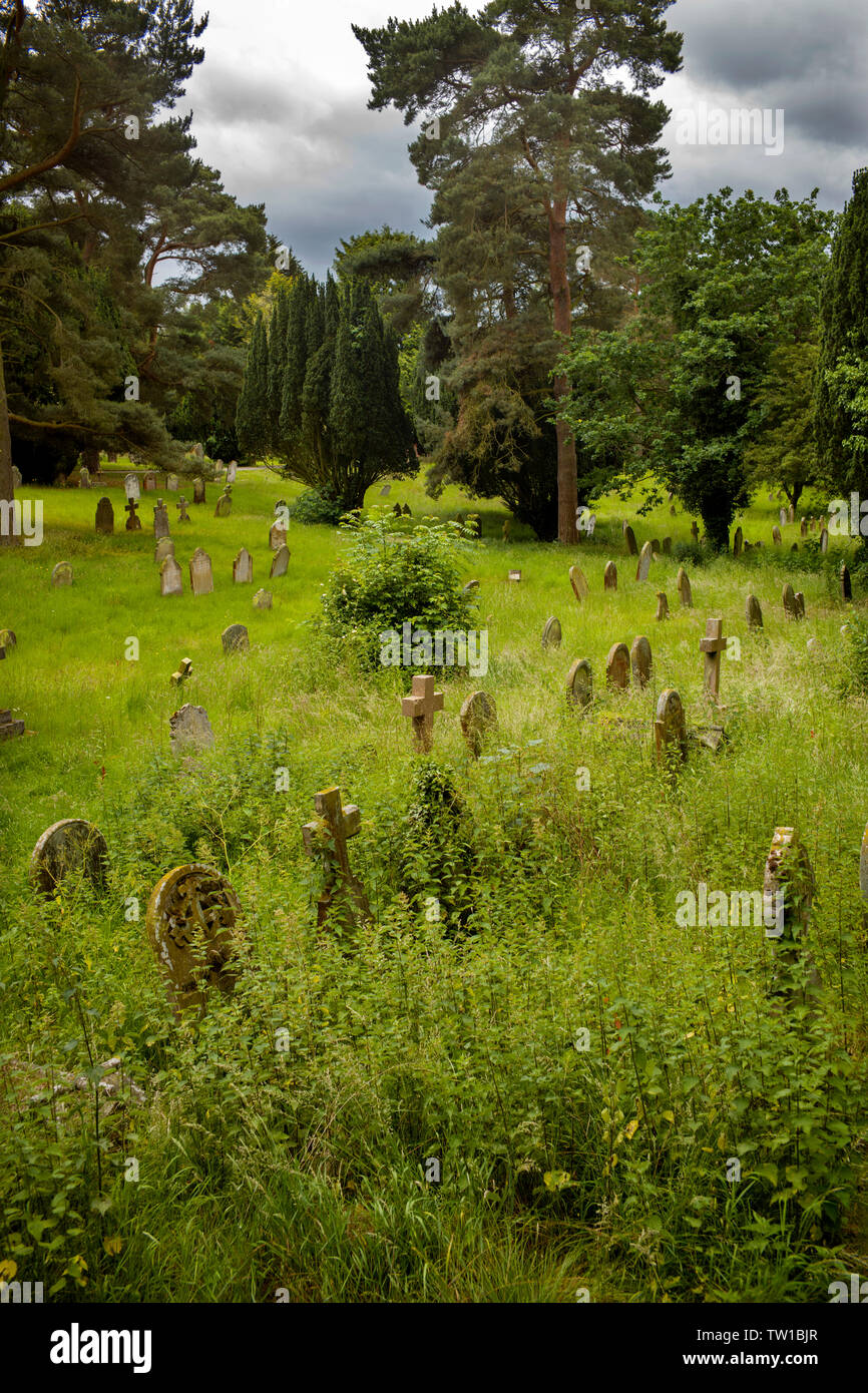 Halesworth viktorianischen Friedhof, Halesworth Suffolk, England UK. Juni 2019 Viktorianischen Periode Grabsteine in Halesworth Gemeinschaft Friedhof. Stockfoto