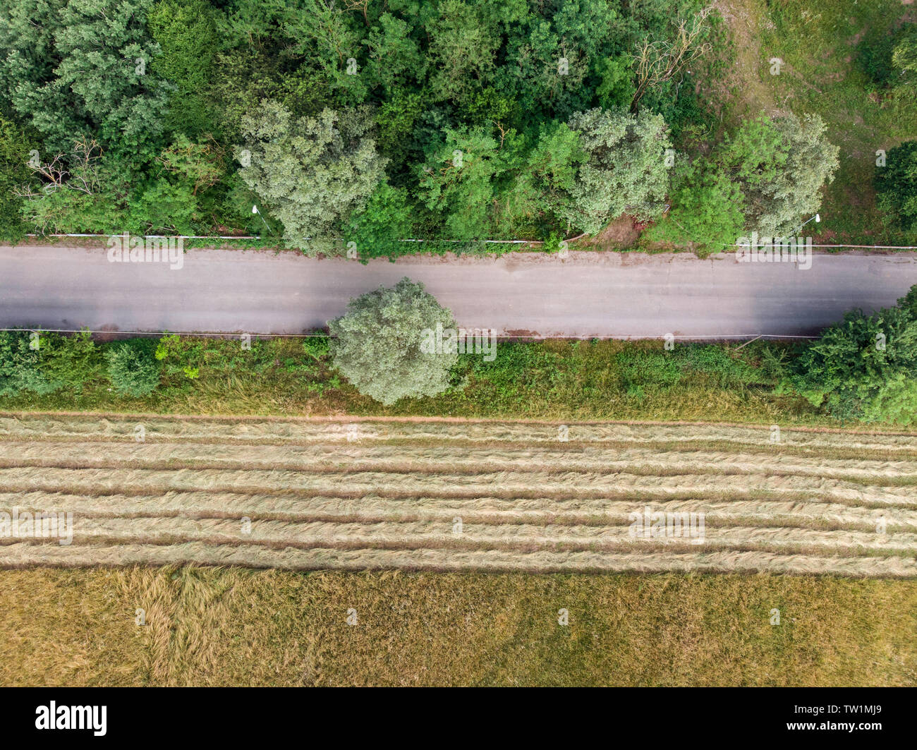 Luftaufnahme von einer Straße und einem gepflügten Feldes. Bäume und Vegetation von oben gesehen. Die ökologische Landwirtschaft, Umweltschutz Stockfoto
