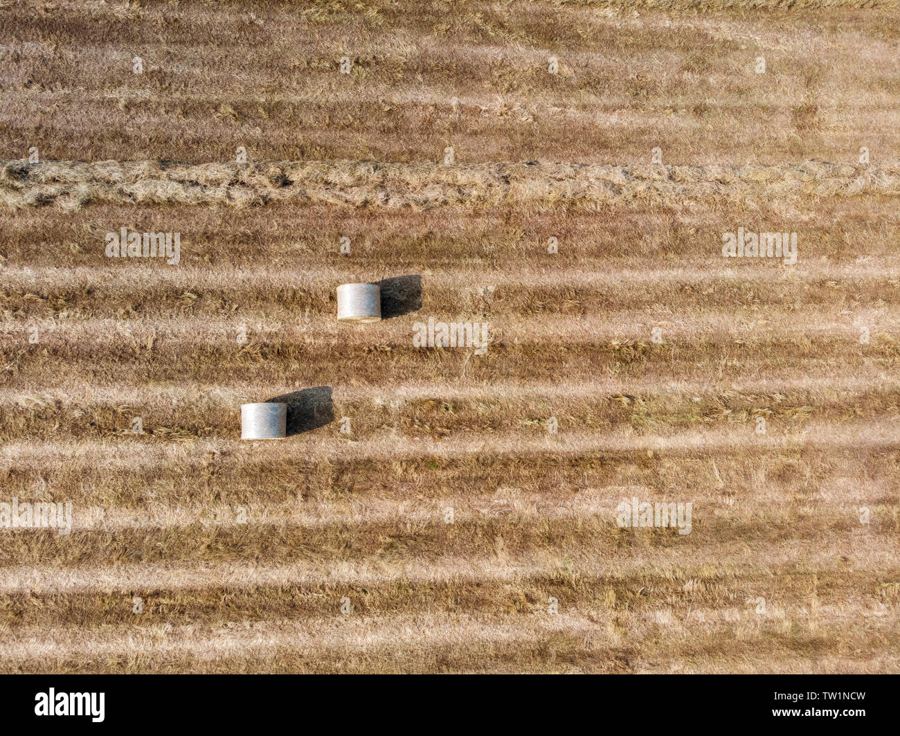Natur und Landschaft: Luftaufnahme von einem Feld, gepflügtes Feld, Anbau, grasgrün, Landschaft, Landwirtschaft, Heuhaufen, Heuballen Stockfoto