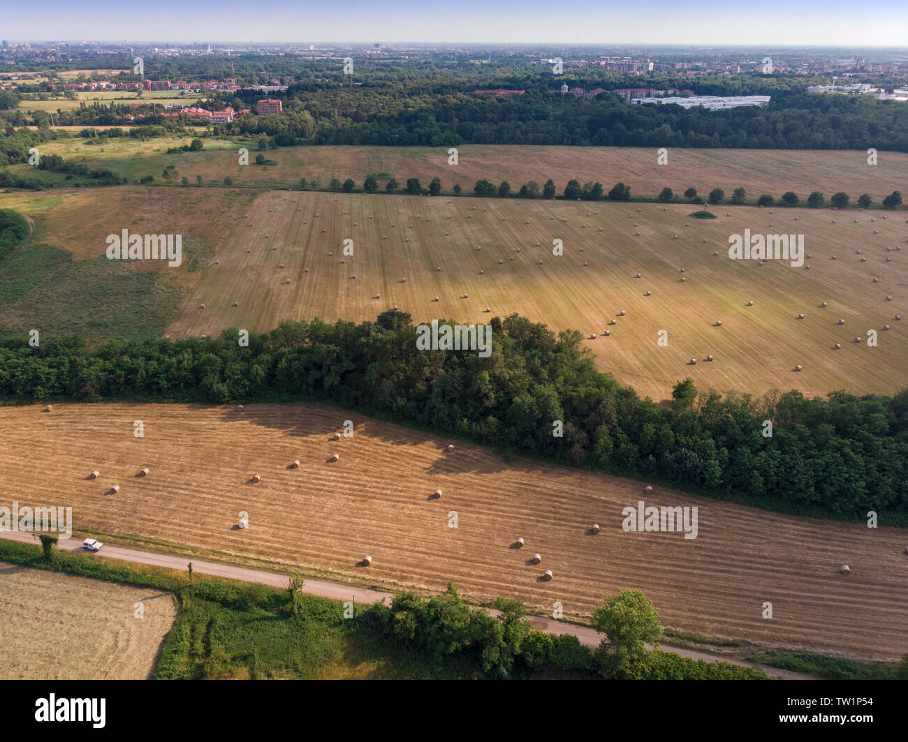 Natur und Landschaft: Luftaufnahme von einem Feld, gepflügtes Feld, Anbau, grasgrün, Landschaft, Landwirtschaft, Heuhaufen, Heuballen Stockfoto