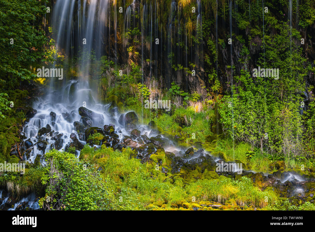 Mossbrae Falls ist ein Wasserfall in den Sacramento River fließt, in der Shasta Cascade Gegend in Dunsmuir, Kalifornien. Die Fälle sind Südlich Stockfoto