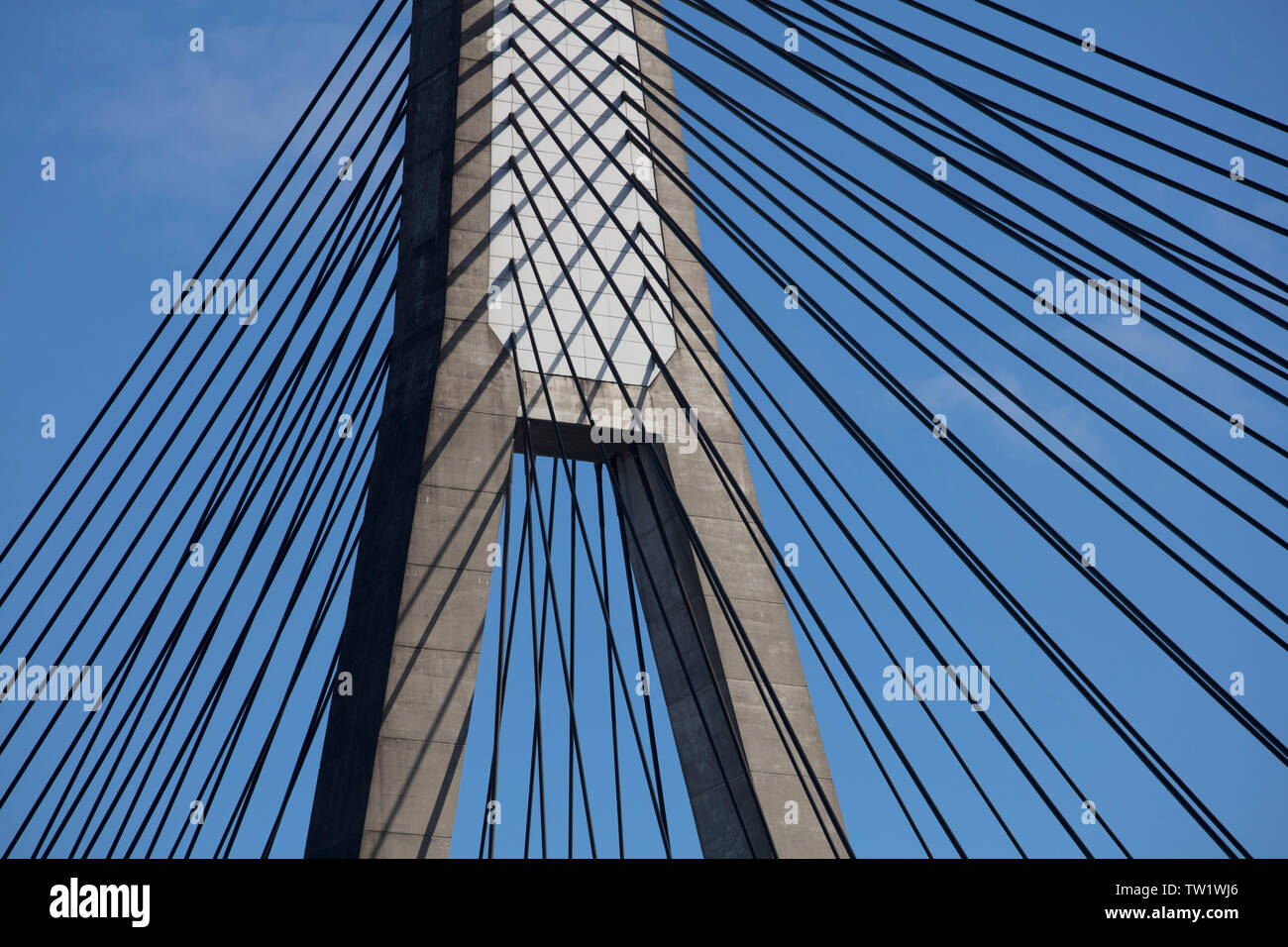 Konkrete Pylon und Kabel aus Stahl der Anzac Bridge Sydney Australien. Diese Brücke trägt die große Straße von Westen in die Stadt und den östlichen Vororten Stockfoto
