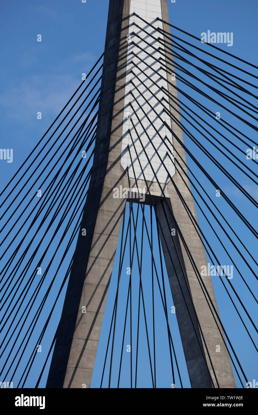 Konkrete Pylon und Kabel aus Stahl der Anzac Bridge Sydney Australien. Diese Brücke trägt die große Straße von Westen in die Stadt und den östlichen Vororten Stockfoto
