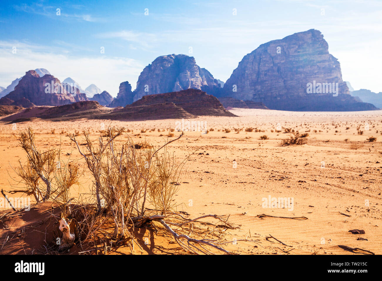 Felsformationen in der jordanischen Wüste im Wadi Rum oder das Tal des Mondes. Stockfoto