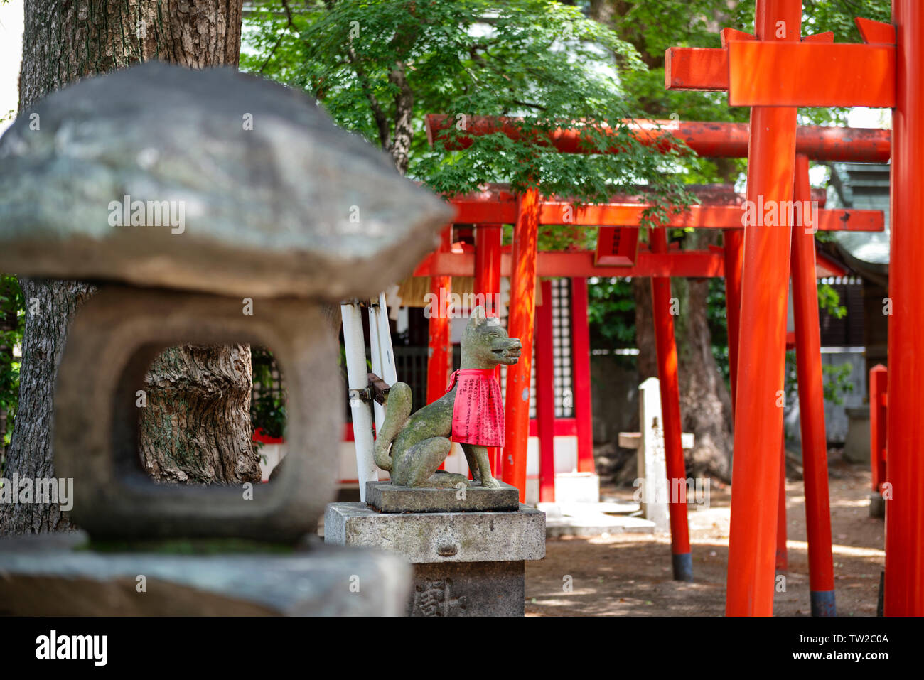 Fox Statue in japanischen Shinto Schrein - ein Geist, der schützt über das Böse Stockfoto