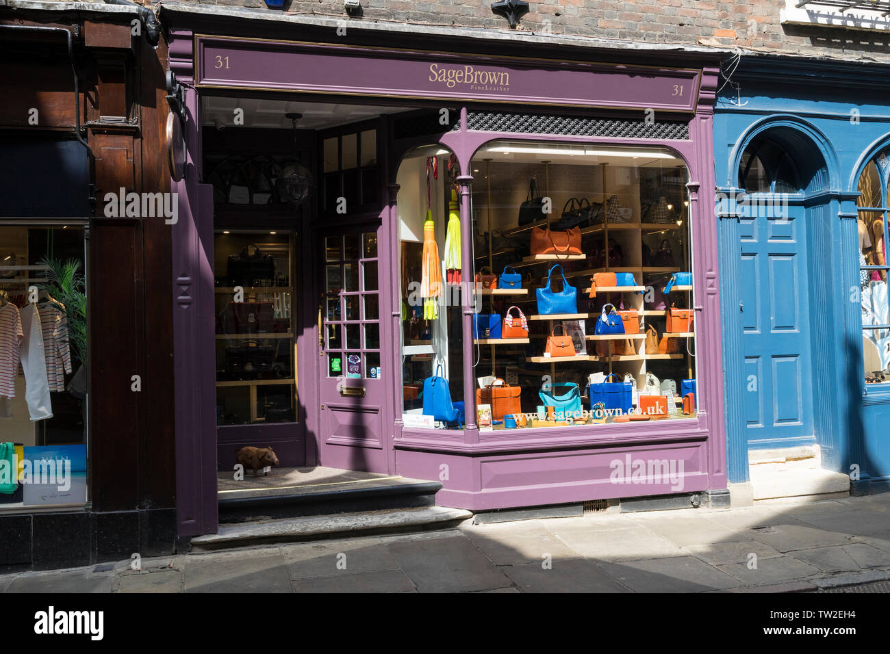 Lederwaren shop front Trinity Street Cambridge 2019 Stockfoto