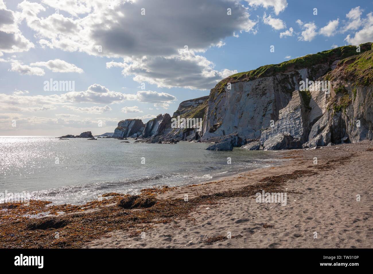 Ayrmer Cove, Devon, England. Stockfoto