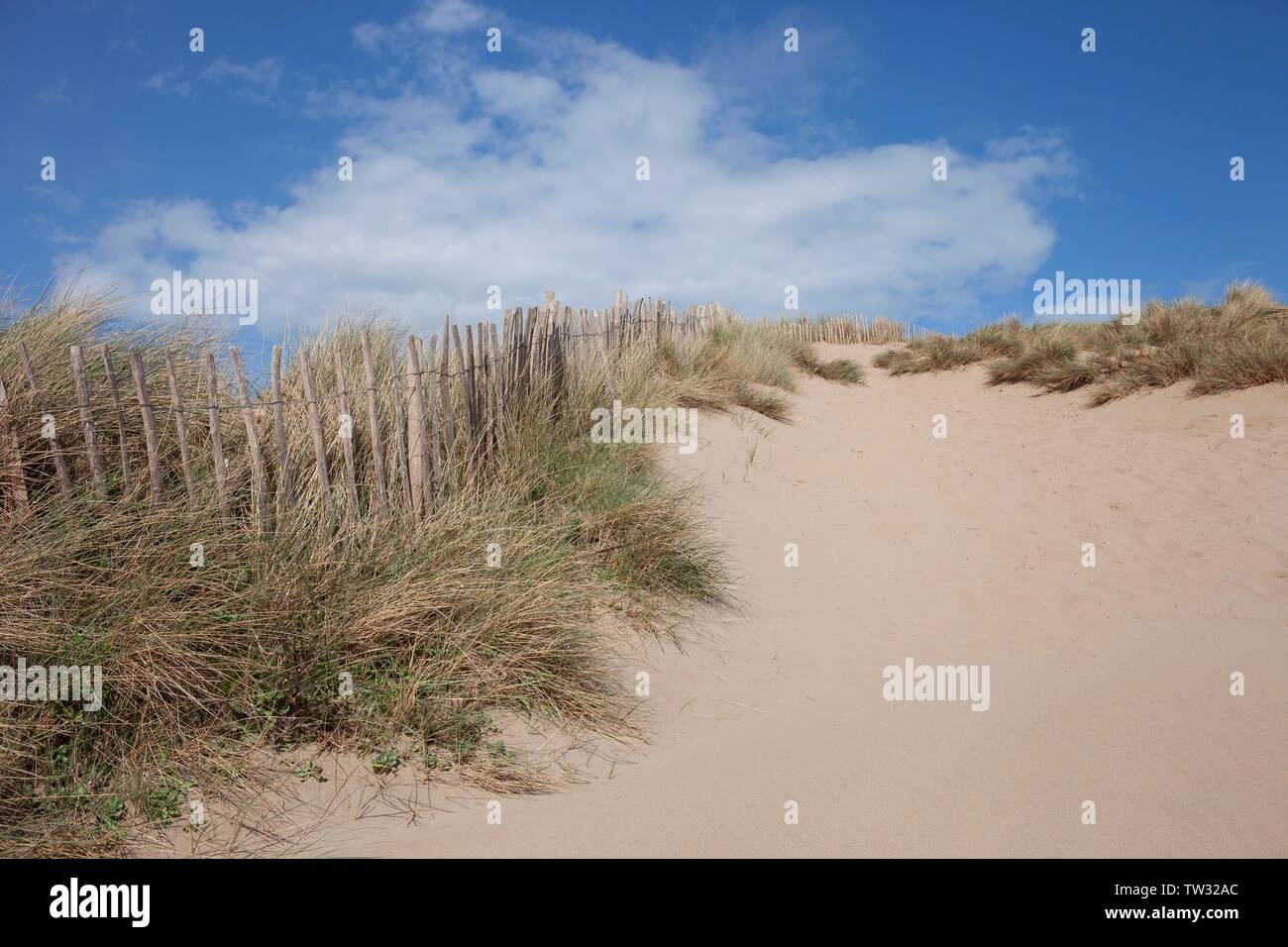 Sanddünen, Devon, England. Stockfoto