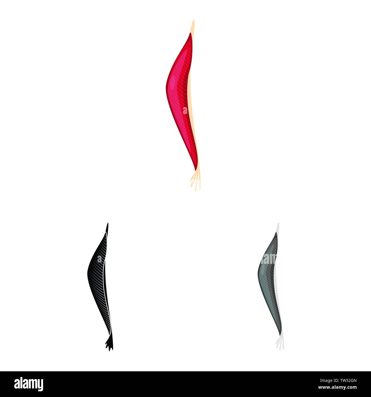 Vektor Design der Faser und muskulös. Sammlung von Faser- und Körper vektor Symbol für das Lager. Stock Vektor