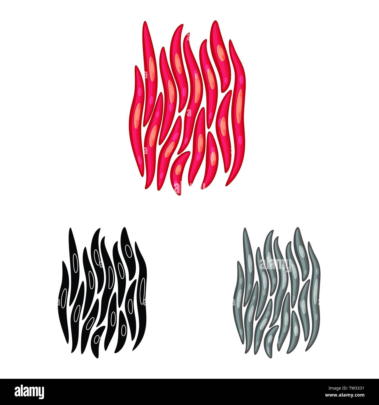 Isoliertes Objekt der Faser und muskulös. Satz von Faser- und Körper Symbol für das Web. Stock Vektor