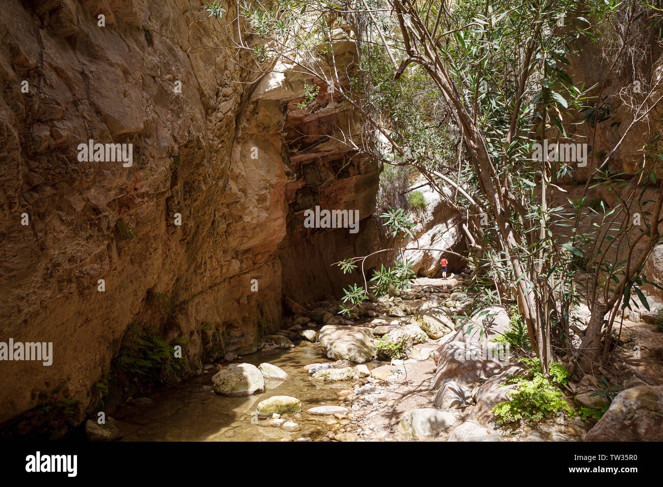 Avakas Schlucht Canon in Zypern mit Little River, Sonnenbeschienenen Felsen und engen Pfad zwischen ihnen. Stockfoto