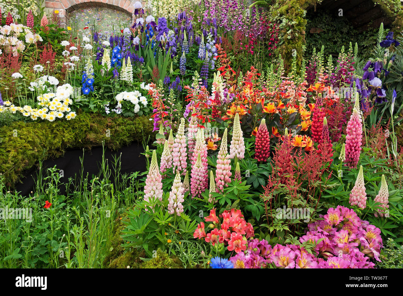 Cottage-Garten Stockfoto