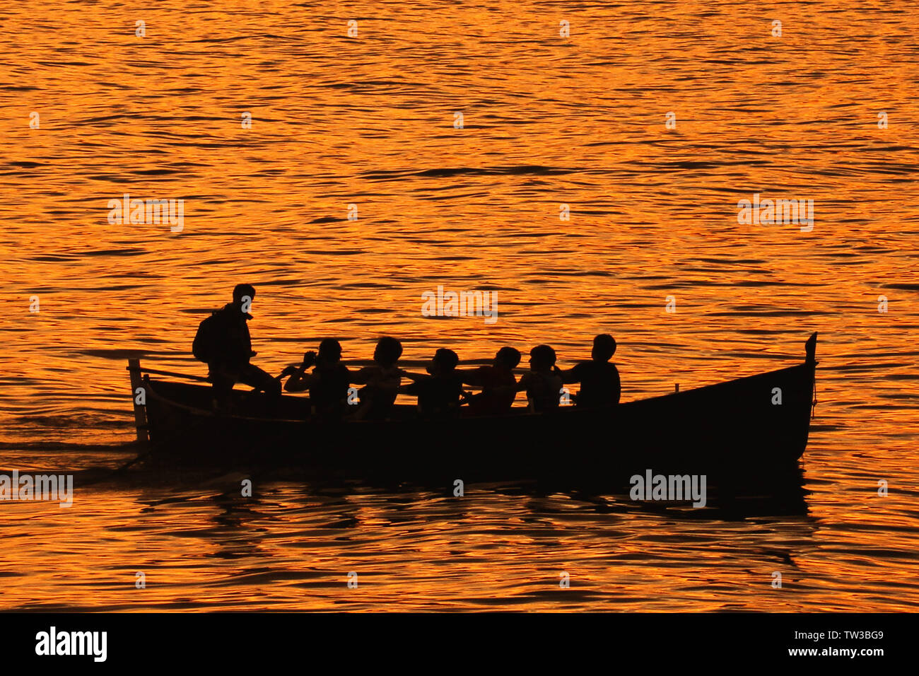 Erfolgreiche Teamarbeit auf einem Ruderboot im Sommer Stockfoto