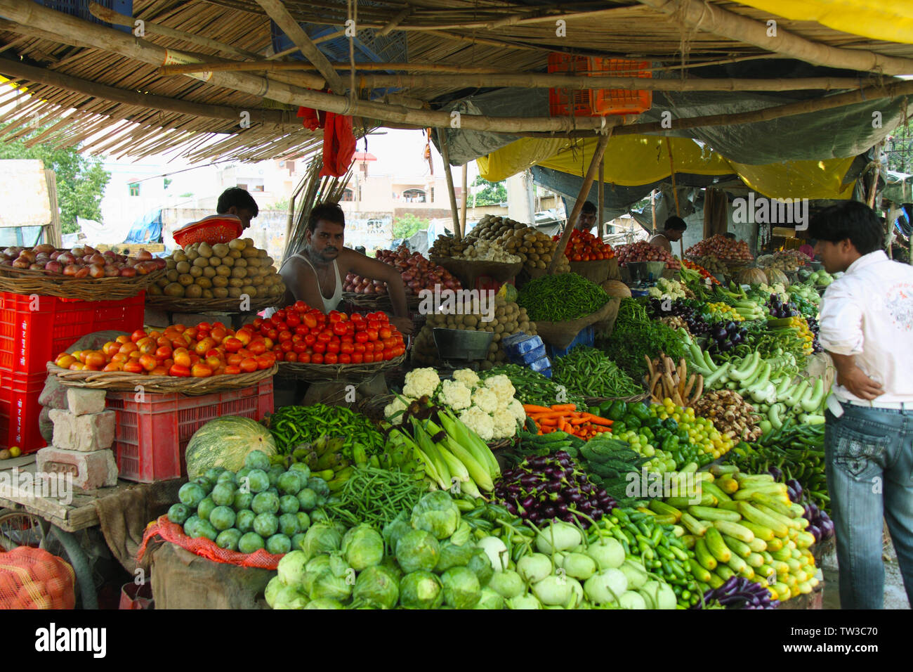 Gemüsestall, Indien Stockfoto