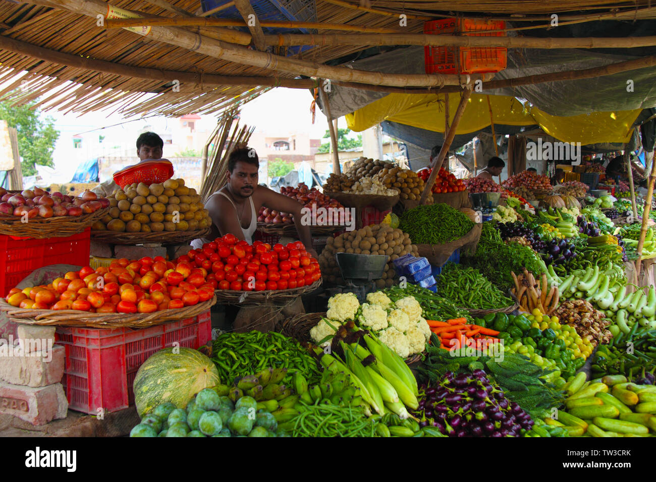 Gemüsestall, Indien Stockfoto