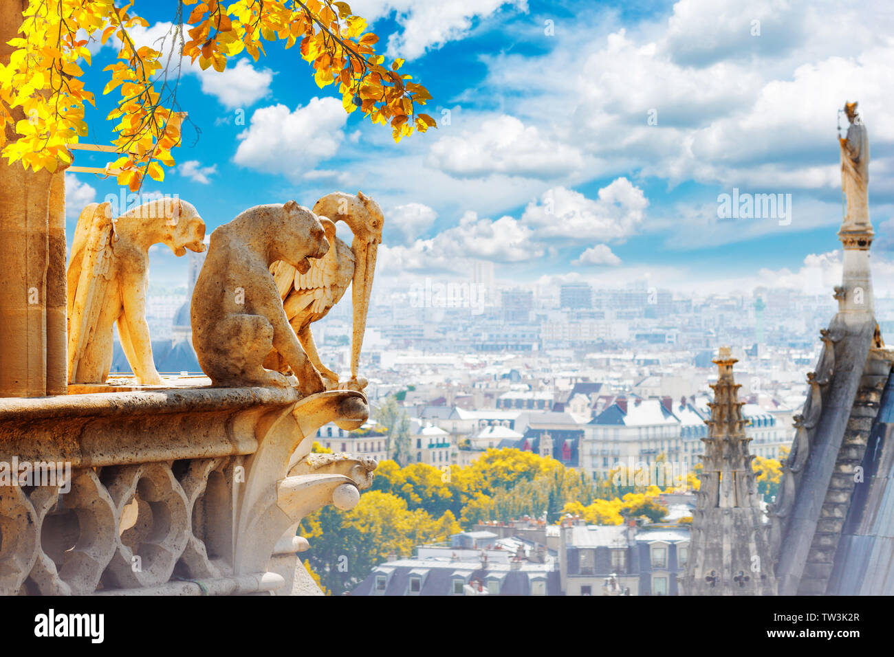 Wasserspeier von Paris Stockfoto