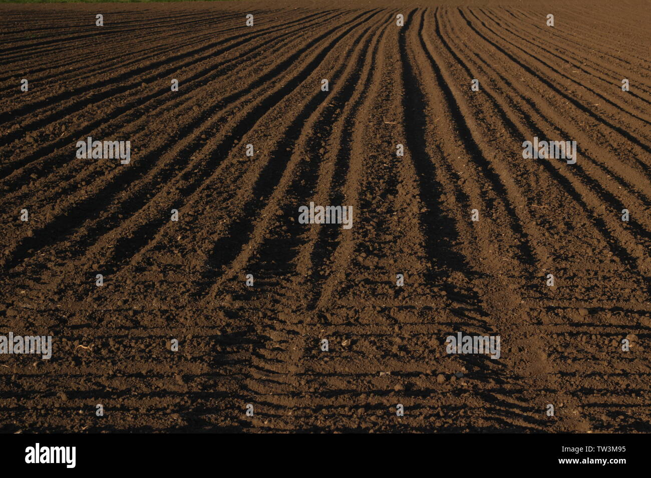 Landwirtschaft Stockfoto