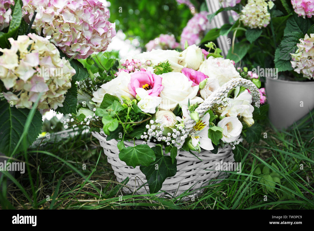 Weidenkorb mit schönen Blumen im Frühling Garten Stockfoto