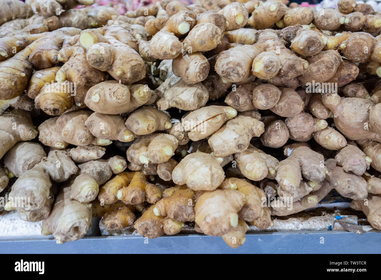 Ingwer warten am Markt verkauft werden. Stockfoto