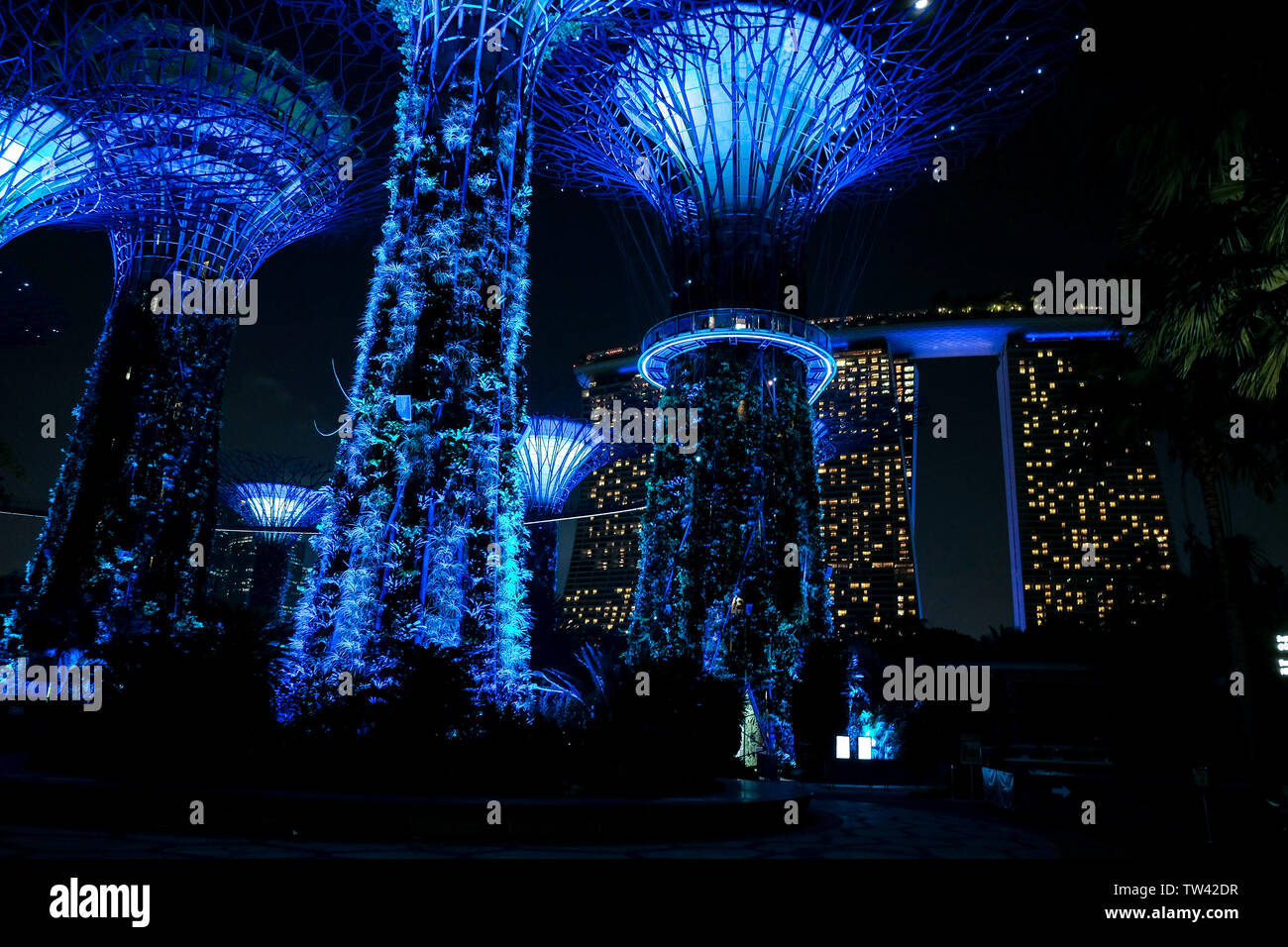 Eine niedrige Winkel Night Shot der Gärten durch die Bucht gebadet in blaues Licht in Singapur mit der Marina Bay Hotel im Hintergrund Stockfoto