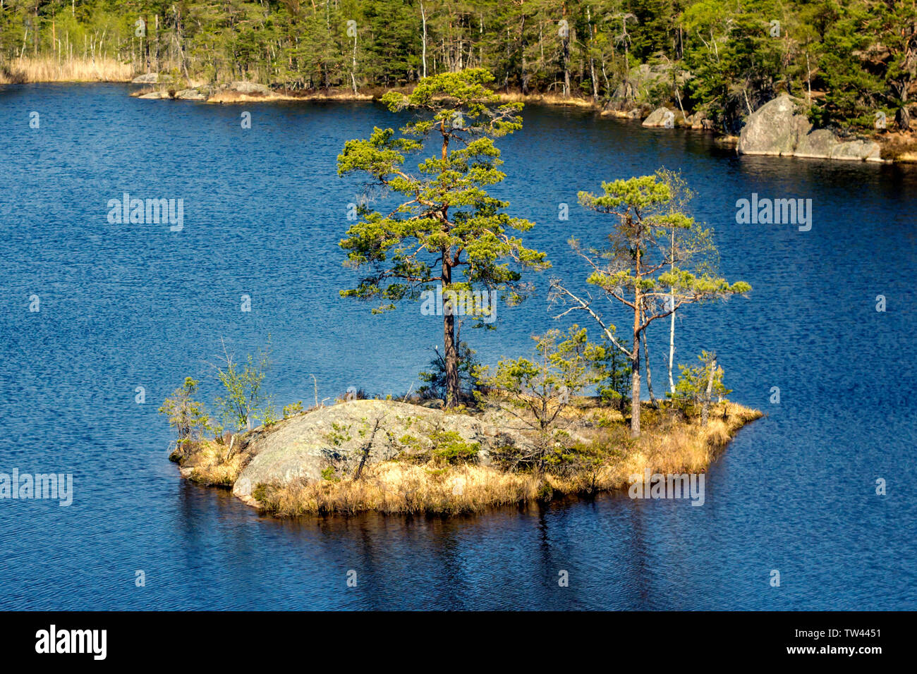 Tiresta durch National Park in der Nähe der Stadt Stockholm Stockfoto