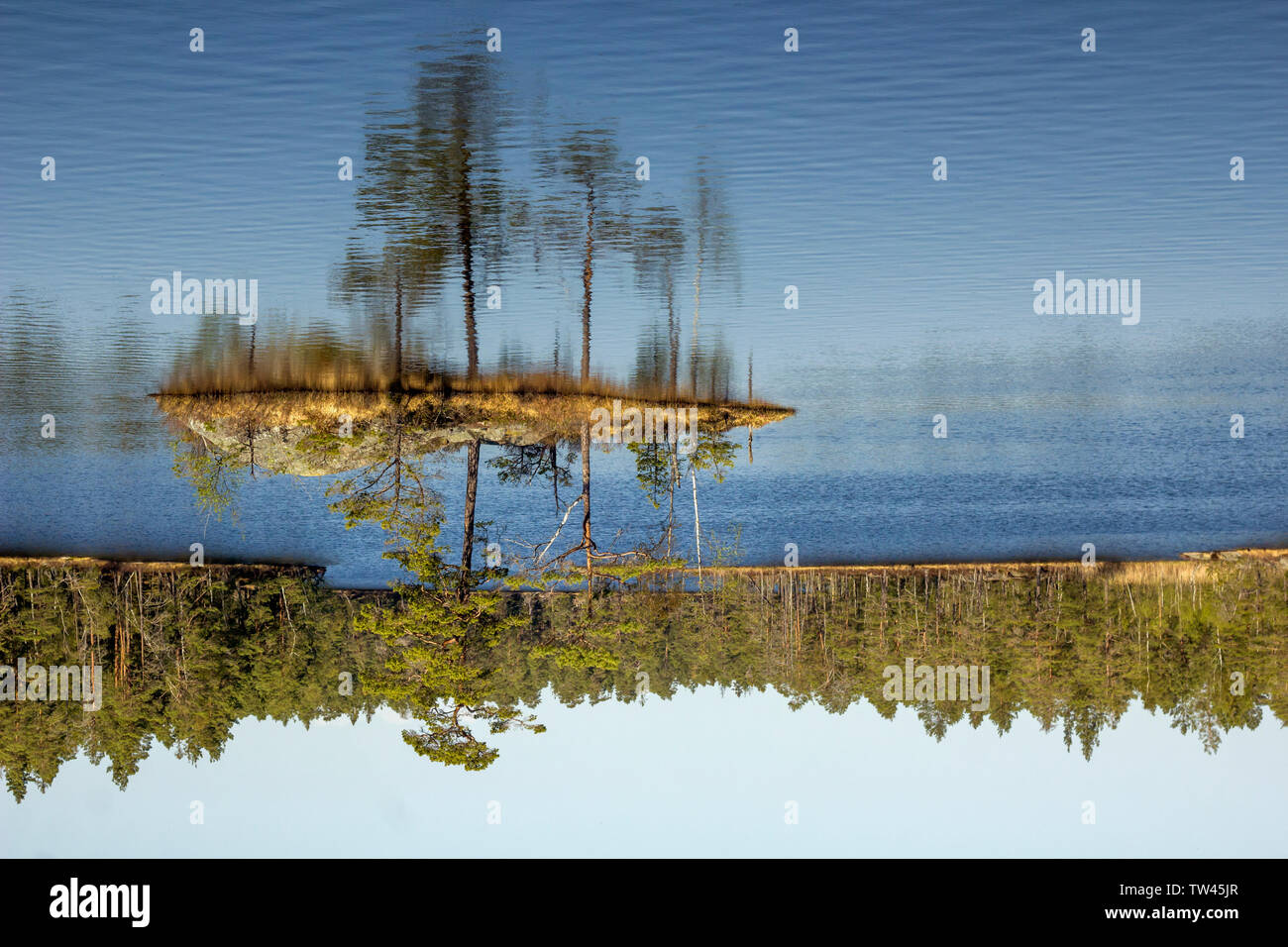 Typische schwedische Landschaft Stockfoto