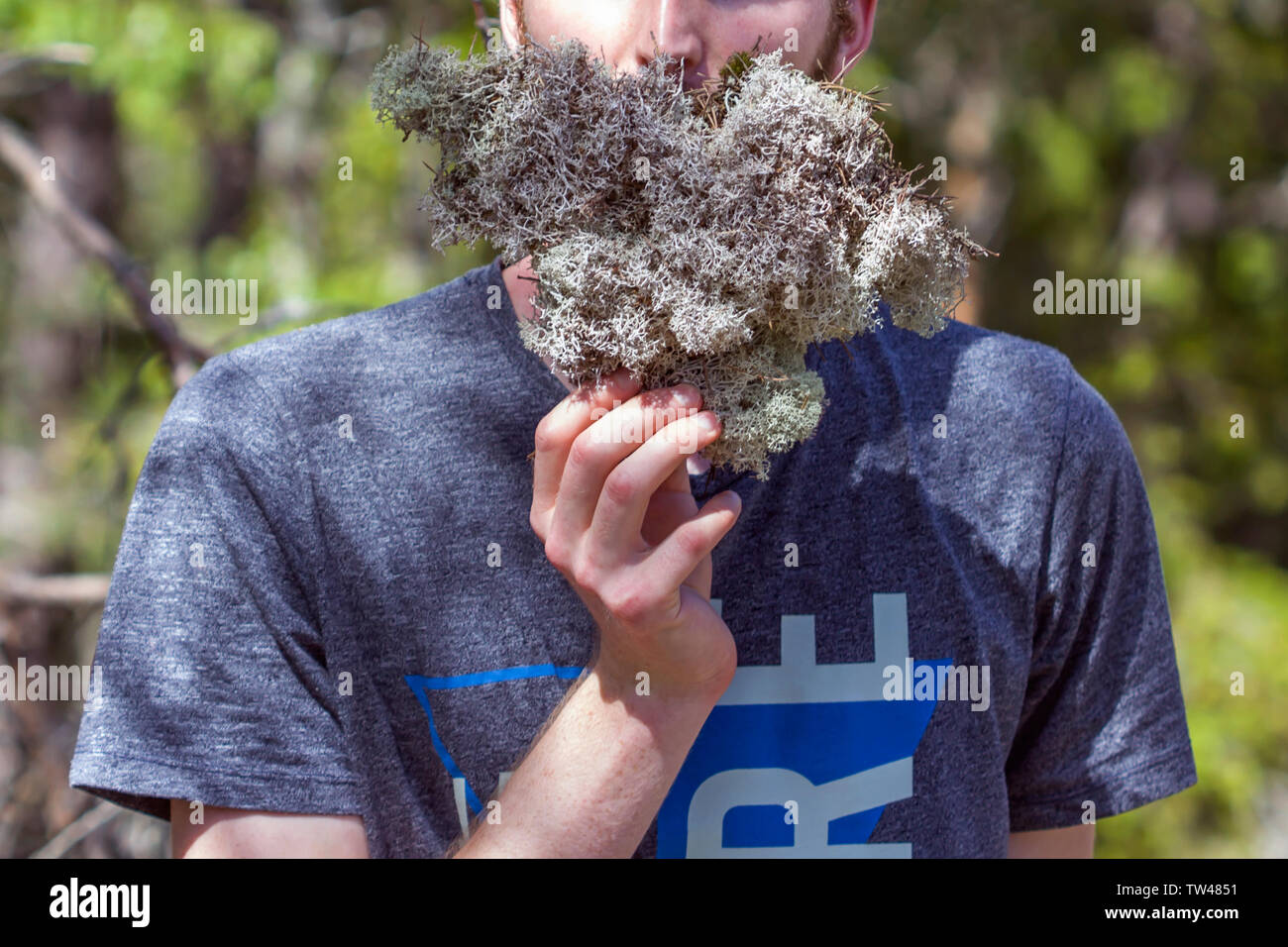 Die skandinavischen Wikinger in der Wüste Stockfoto