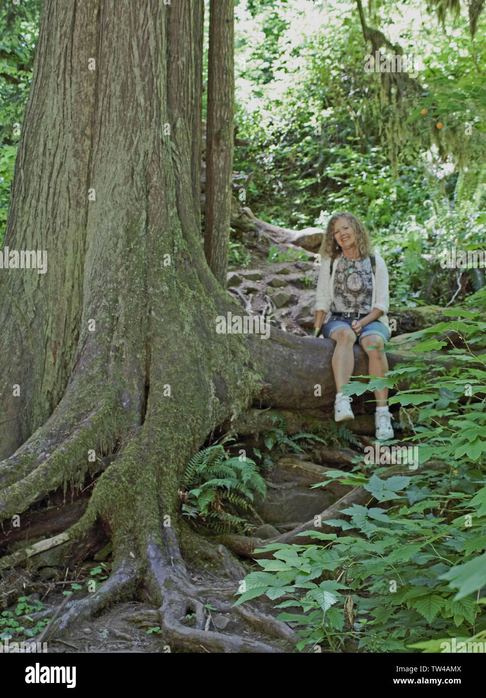Eine junge Frau nimmt einen Bruch an einem Wanderweg. Stockfoto