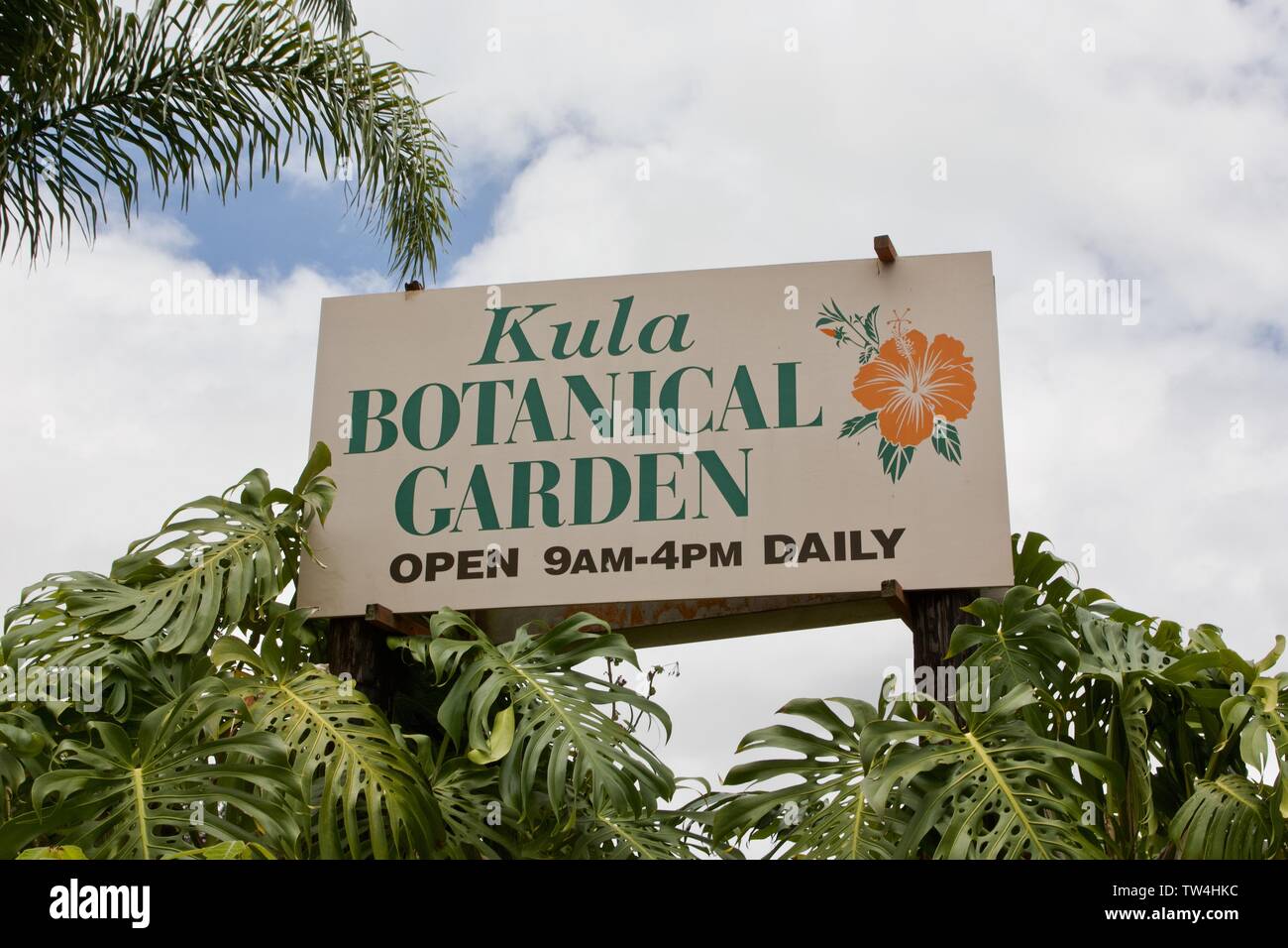 Kula Botanical Garden in Maui, Hawaii Stockfoto