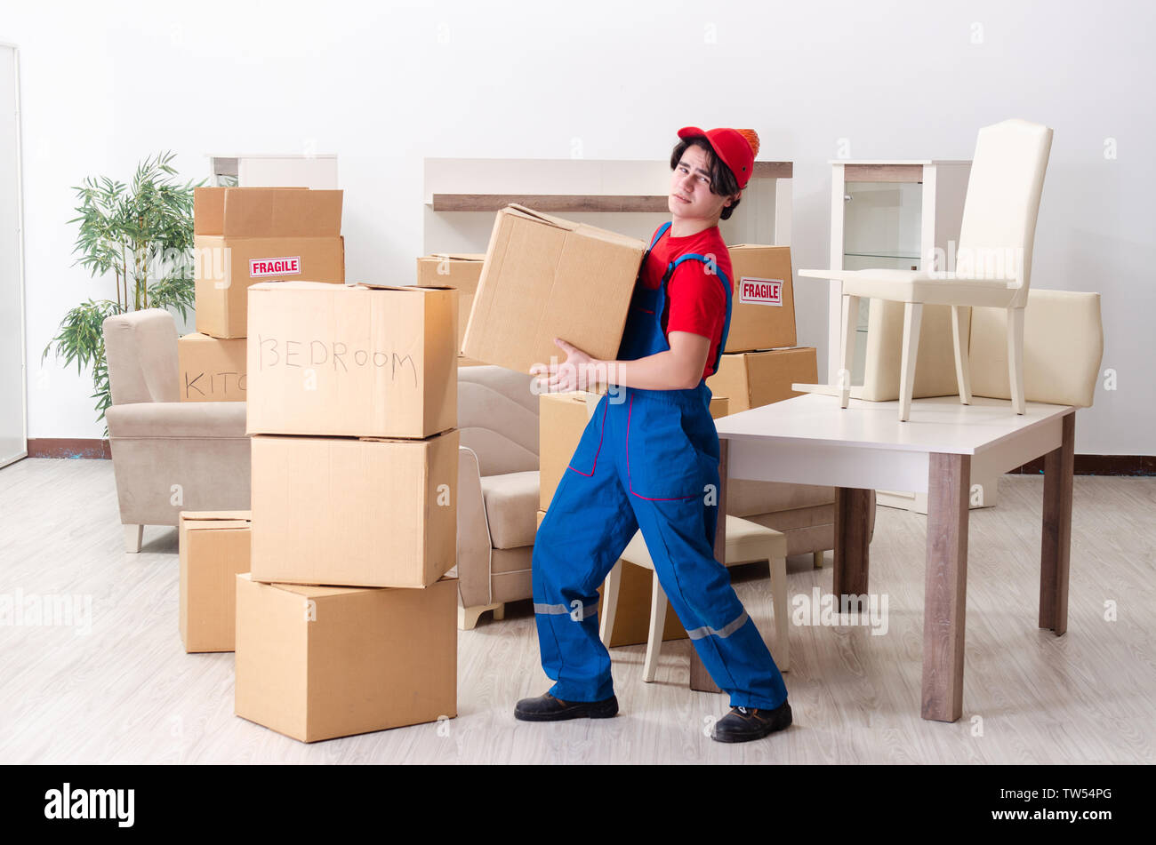 Junge männliche Auftragnehmer mit Feldern arbeiten im Innenbereich Stockfoto