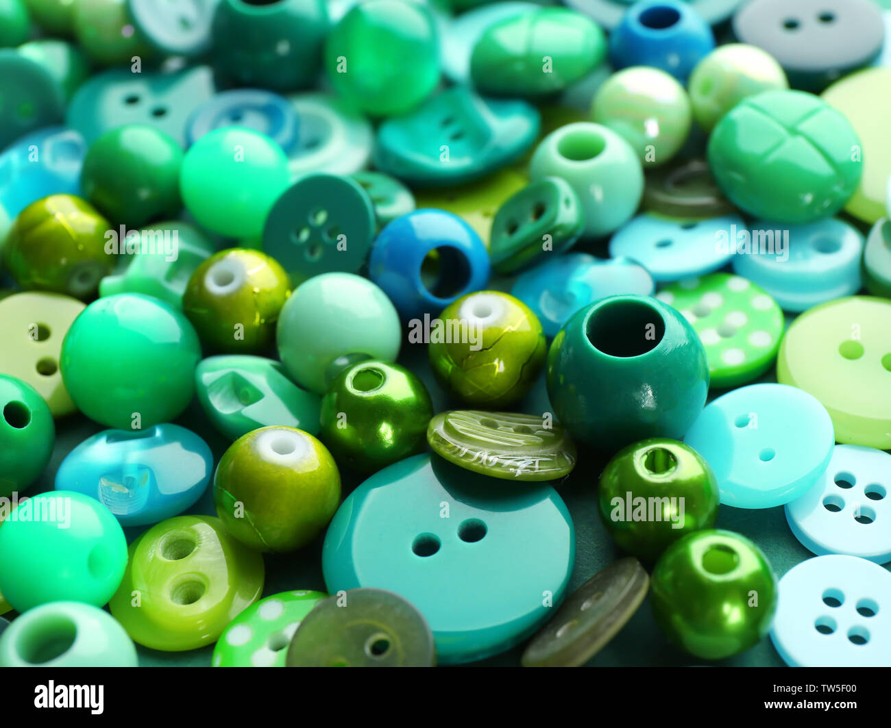 Grüne Zusammensetzung mit Knöpfen, Nahaufnahme Stockfoto