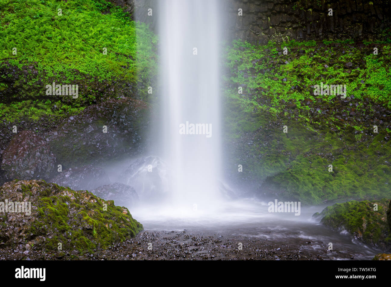 Einen schönen Wasserfall Spritzen in einen Pool unter Felsen in üppigen grünen Moos und Vegetation - Latourell fällt in Oregon Columbia River Gorge Stockfoto