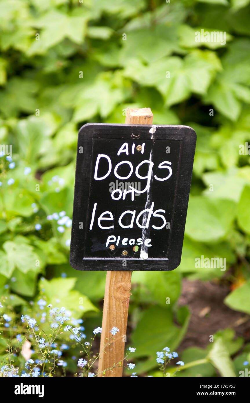 Handschriftliche Zeichen anweisen Passant Ihres Hundes an der Leine zu halten. Stockfoto
