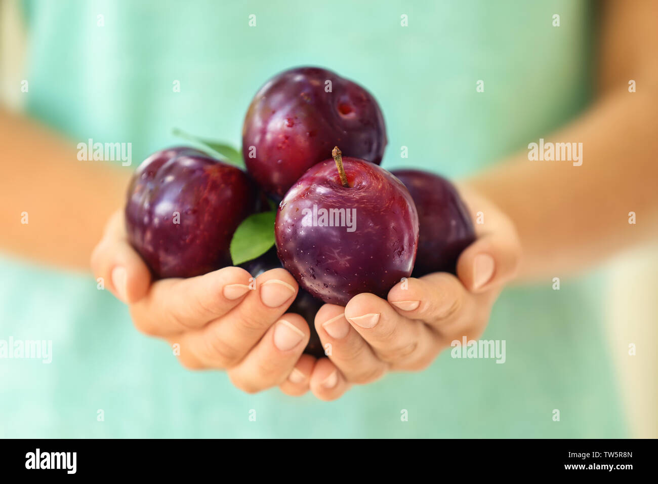 Frau mit Reife saftige Pflaumen, Nahaufnahme Stockfotografie - Alamy
