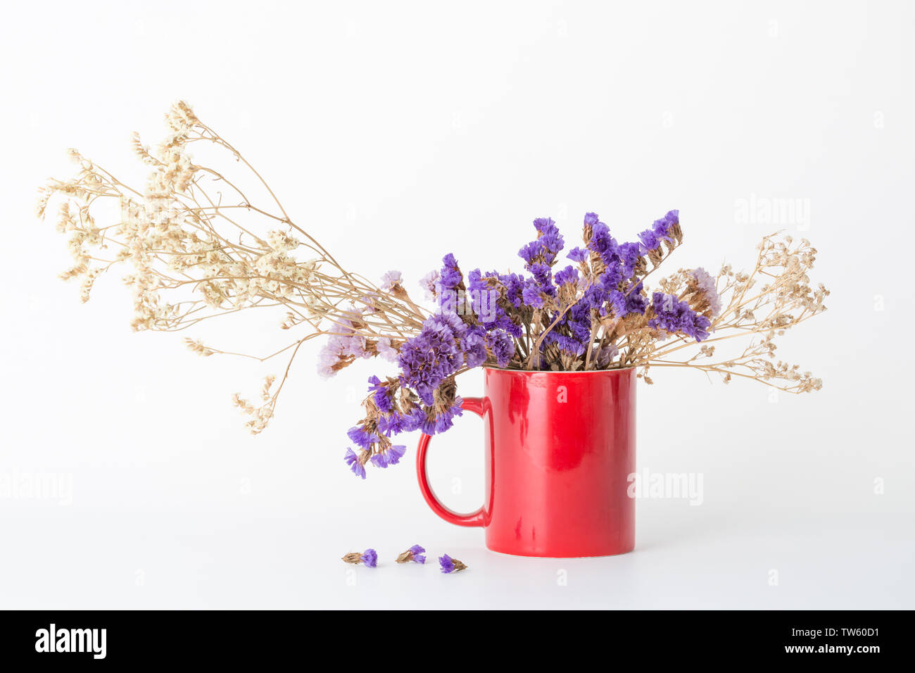 Vergessen Sie nicht mir und die Sterne, trockene Blumen. Stockfoto