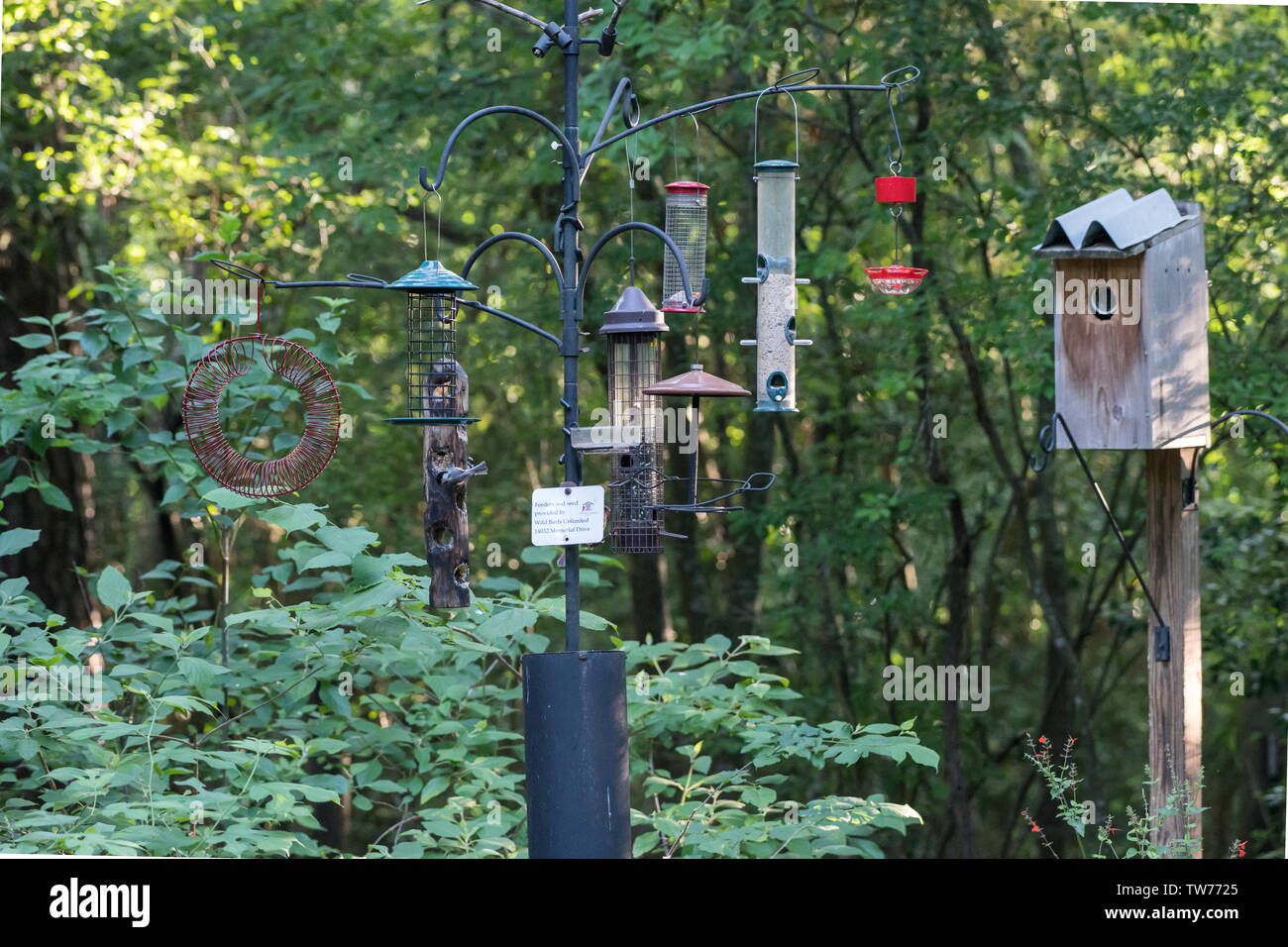 Futterhäuschen und Bird House verschiedener Größe und Form im Hinterhof. Houston, Texas, USA. Stockfoto